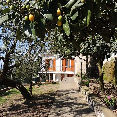 Johanna'S House Massa Lubrense Exterior foto