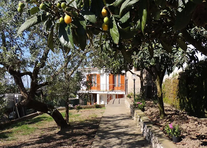 Johanna\'S House