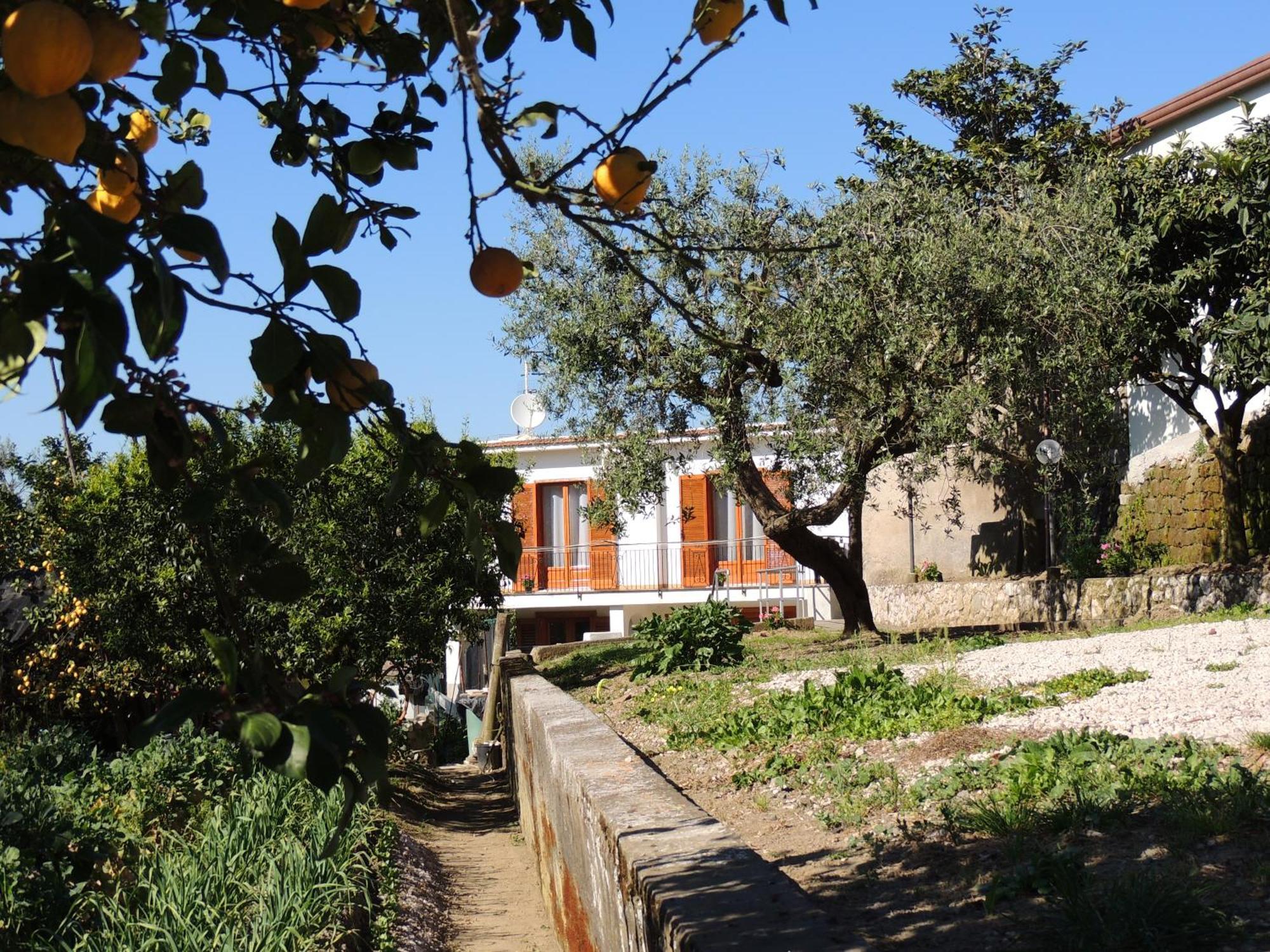 Johanna's House * Massa Lubrense